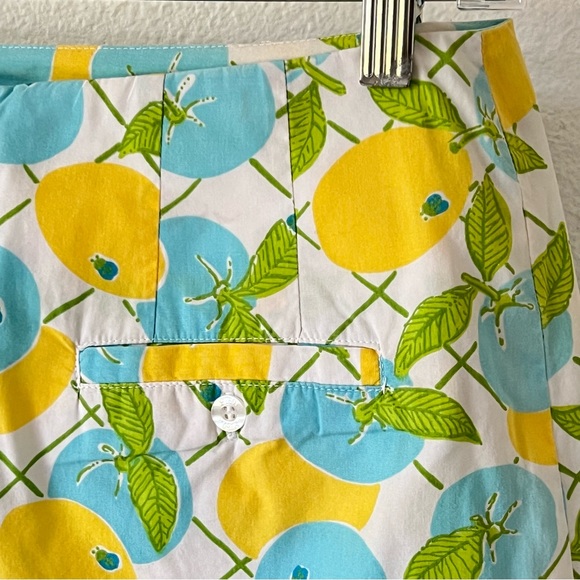 Lilly Pulitzer White Label Citron Lemon Skirt Yellow and Blue Fruit Size 6 - Picture 3 of 10